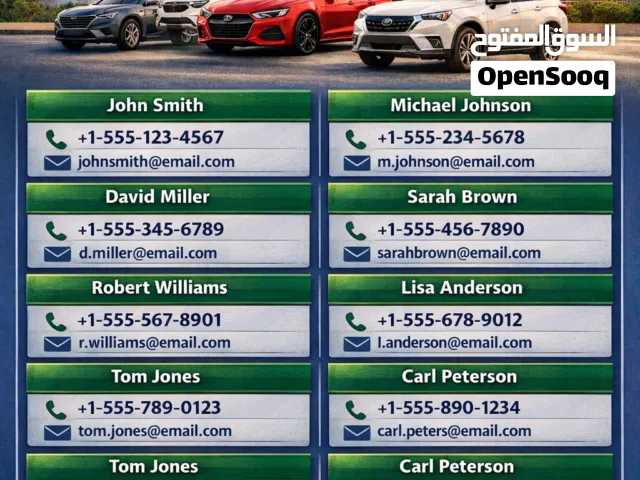 U.S. Car Dealers Mega Database – Excel Format More than 10K