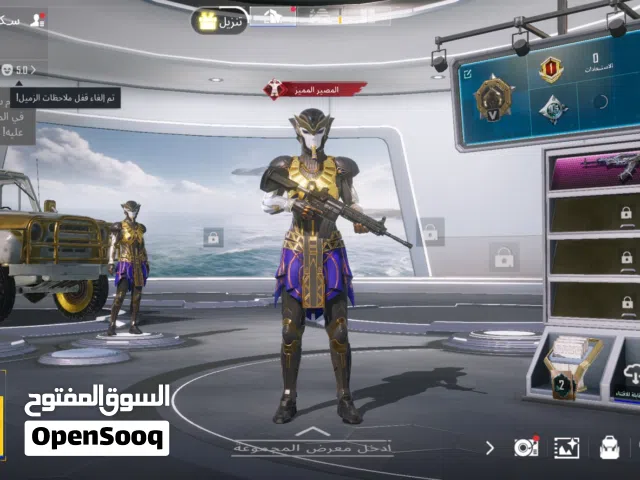 Pubg Accounts and Characters for Sale in Mafraq