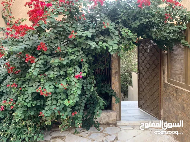 110 m2 2 Bedrooms Apartments for Rent in Amman Jabal Al Zohor