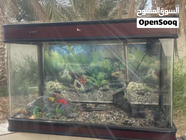 حوض سمك للبيع يحتاج شوية عناية(السعر قابل للتفاوض)