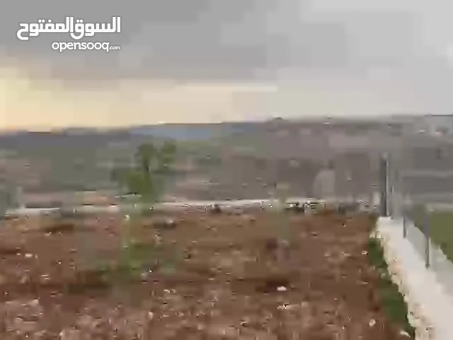 أرض للبييع