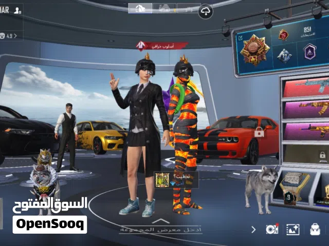 Pubg Accounts and Characters for Sale in Zarqa