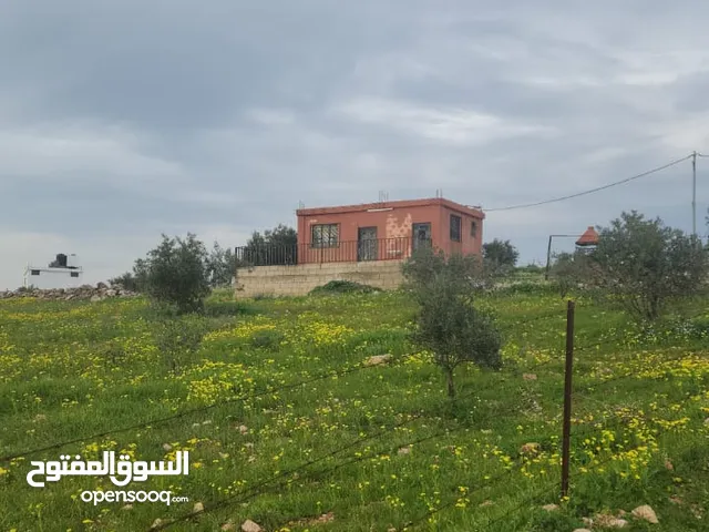 للبيع مزرعه 4.5 دونم في حمنانه المفرق ام حبل مخدومه