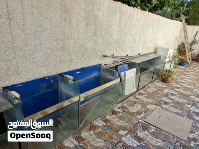احواض أسماك للعرض