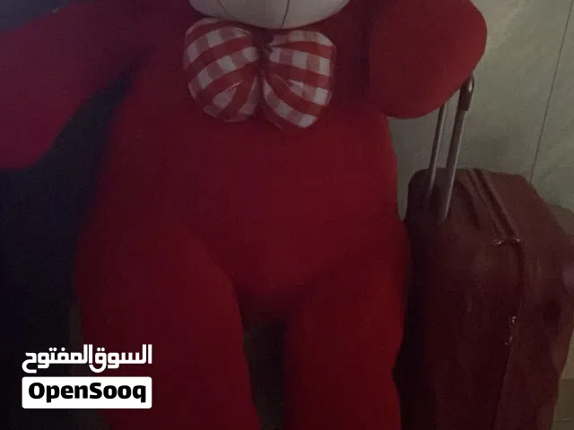 دب احمر كبير كتير جديد