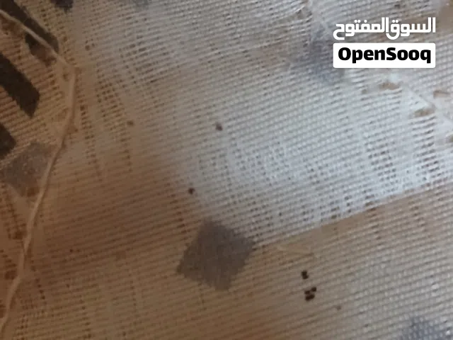 توجد تريلات وكارت وما شاء الله الموقع كسله