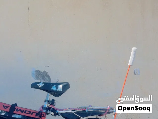 بسكليت الماني