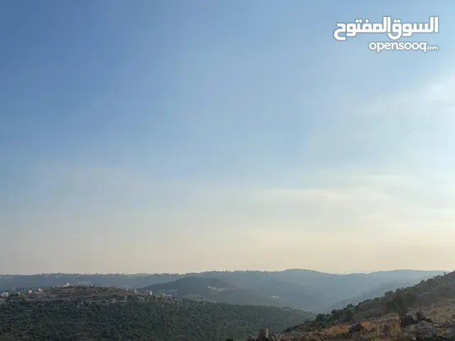 أرض تصنيف بناء للبيع في فرخة