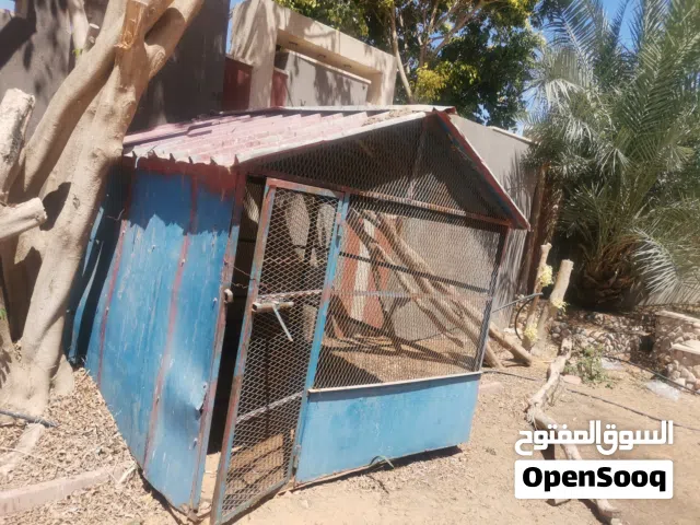 براكة  2 م x 2 م حديد