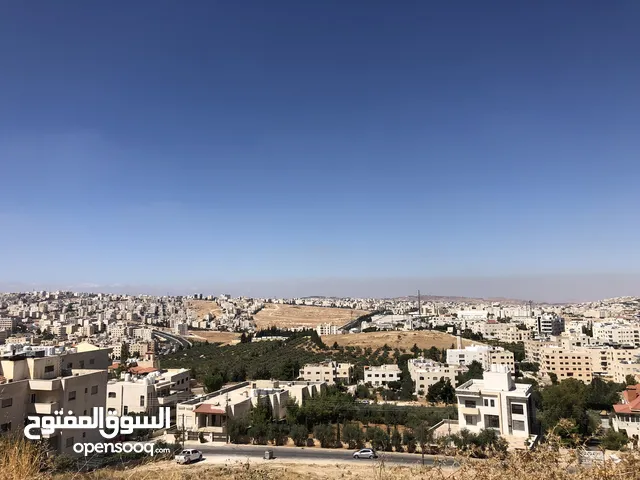 ارض للبيع شارع الاردن ( ام زويتينا )