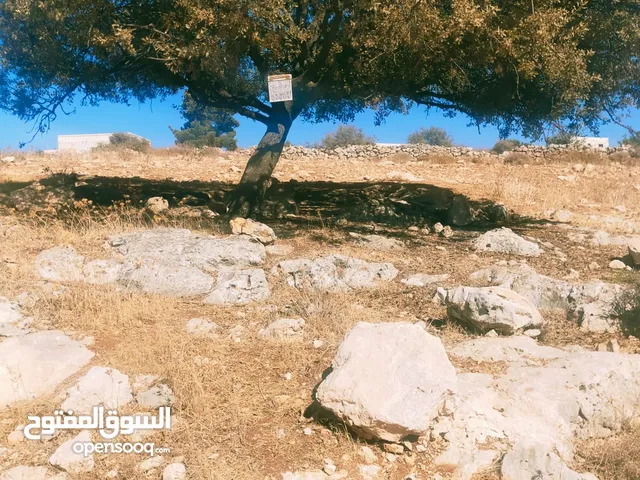 Residential Land for Sale in Amman Jabal Al Nuzha