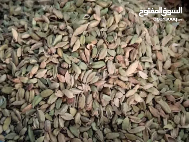 هال اخضر MYQ للبيع لتجار الجملة