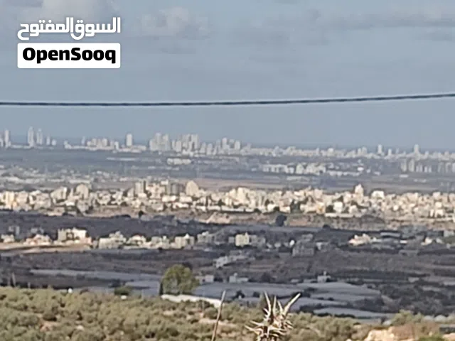 قطعة ارض مطلة على الساحل