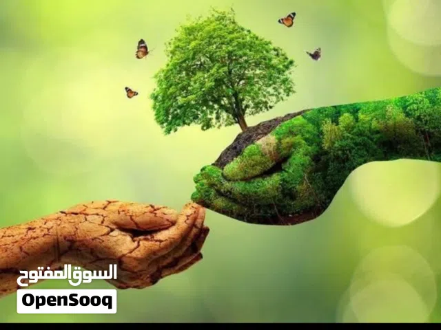 تنسيق الحدائق والإشراف عليها ومتابعتها وغرس الأشجار المتمره واشجار الزينه  وقص وحصد المسطحات الخراء