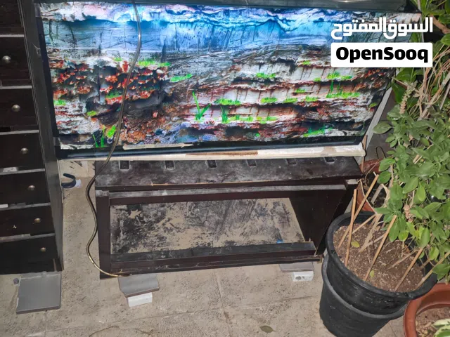 30*80 fish aquarium 100 aed
