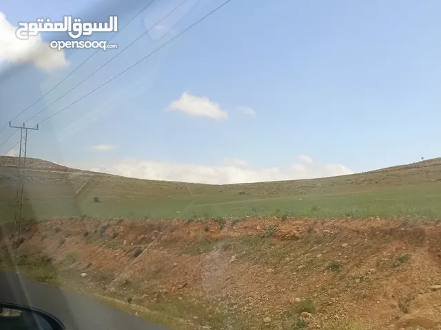 مطلوب فرخ كوكتيل تعليف