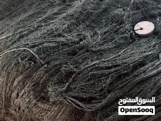 الياخ عاشري للبيع الطول200والرغب200 للون اخضر