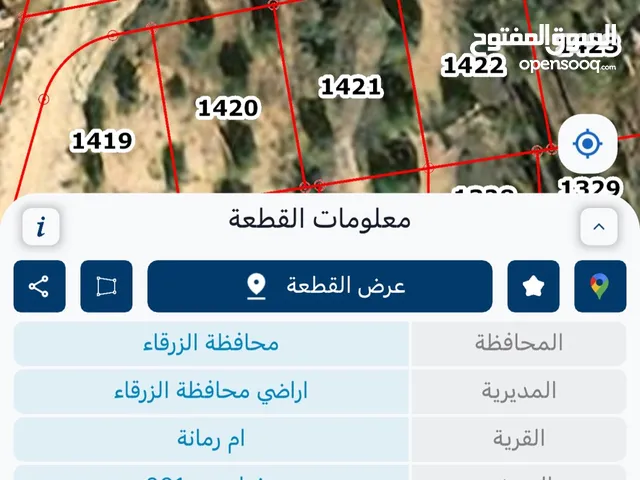 Residential Land for Sale in Zarqa Birayn