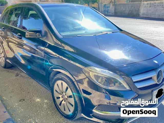 2014 Mercedes Benz B-Class B 250