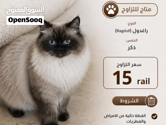 ذكور للتزاوج