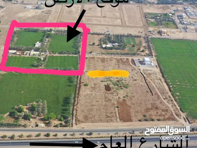 1 Bedroom Farms for Sale in Al Batinah Al Masnaah