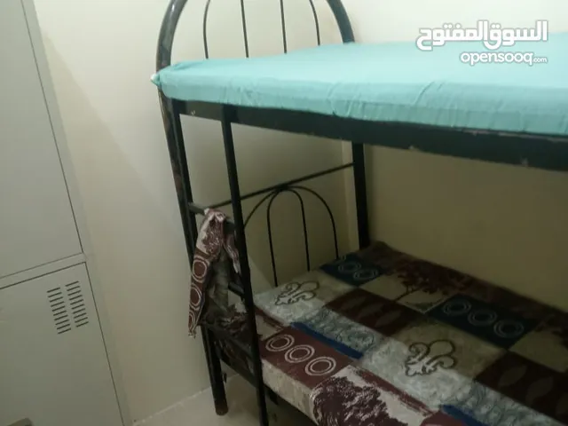 ابحث عن برتشن لقردين