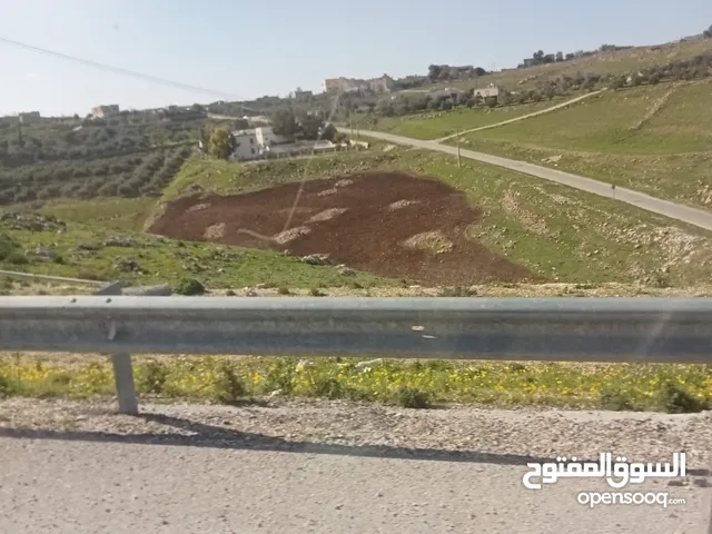 Mixed Use Land for Sale in Irbid Other