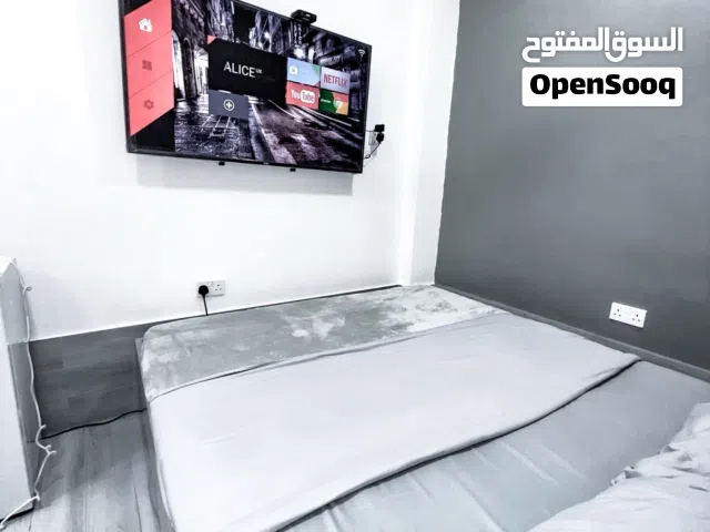 Elegant Fully Furnished Apartment
