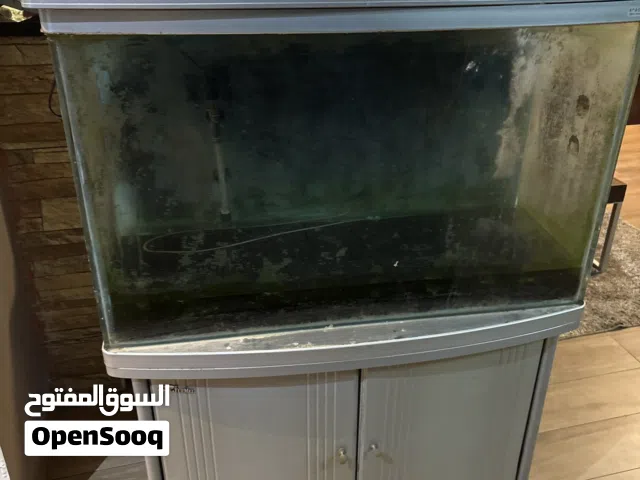 حوض سمك ببلاش