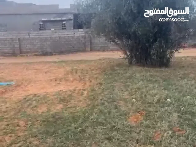 Mixed Use Land for Sale in Tripoli Gasr Garabulli
