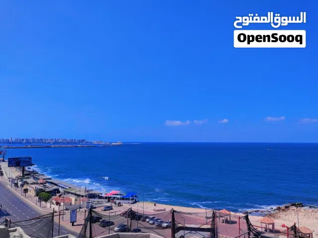 100 m2 2 Bedrooms Apartments for Rent in Alexandria Al-Ibrahemyah