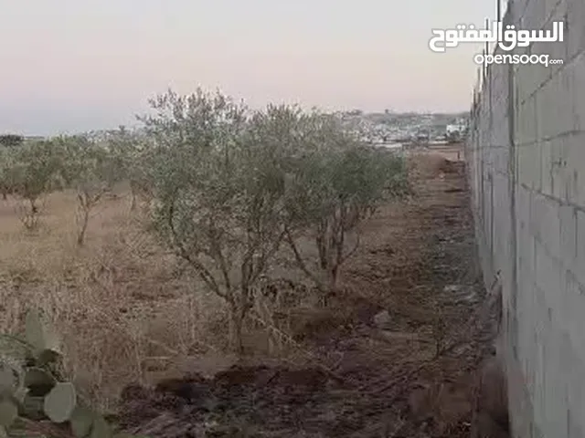 (2 دونم) أراضي للبيع