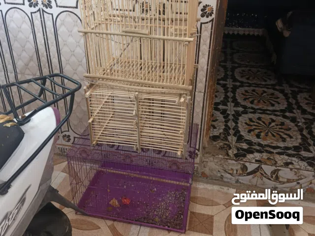 اقفاص ثلاثه سعرهن 30 قفل حيانيه