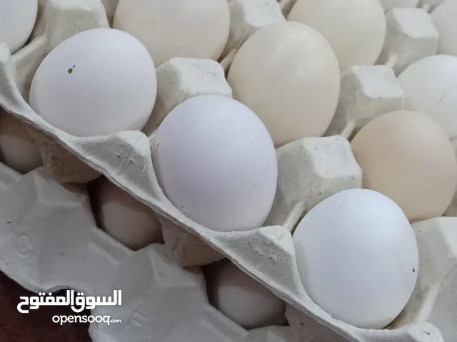 بيض محلي ب2_دينارين