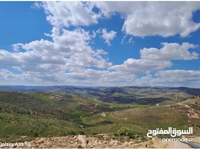 Residential Land for Sale in Mafraq Bala'ama