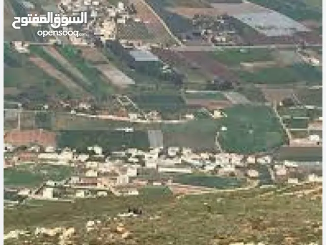بيع ارض بالنصاريه