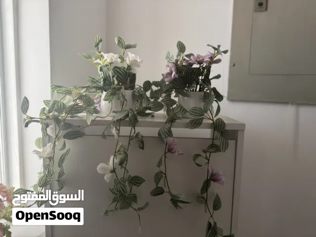 Decor and household essentials