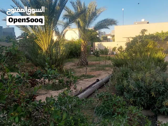 عقار وواجهتين أماميه 35 متر خلفيه 36 متر عين ع الرئيسي قرب مدرسة جابر بن حيان عين زارة
