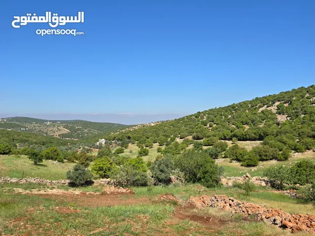 Farm Land for Sale in Ajloun A'fna