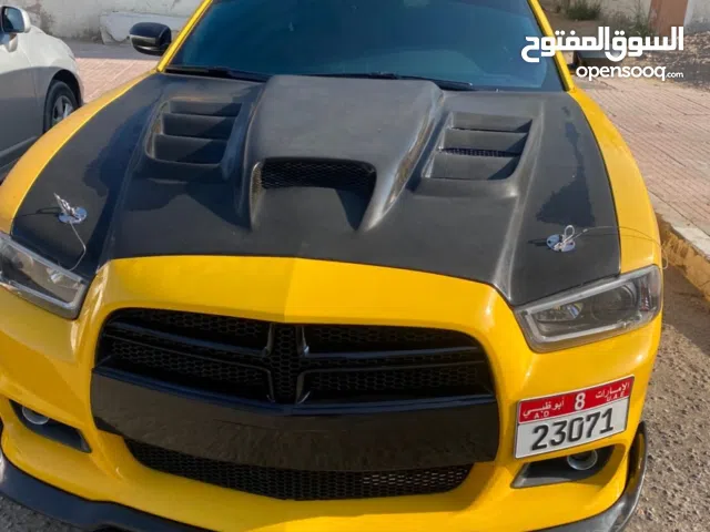 مطلوب لحيه صدام اماني للسياره