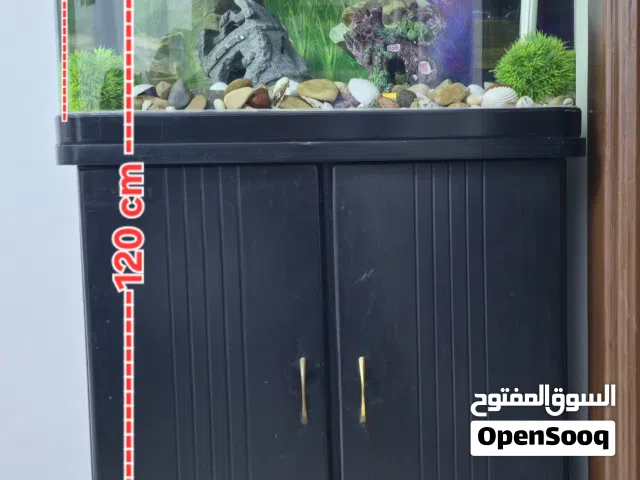 حوض سمك مع كامل ملحقاته