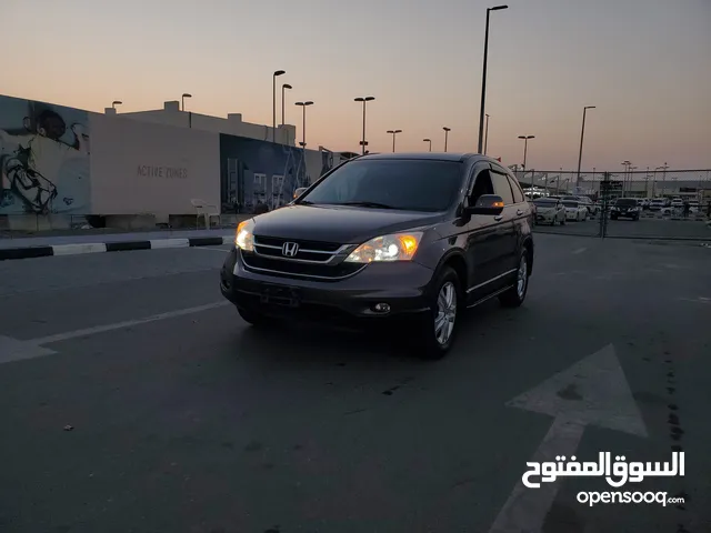 هوندا CRV وارد اليابان بدون حوادث