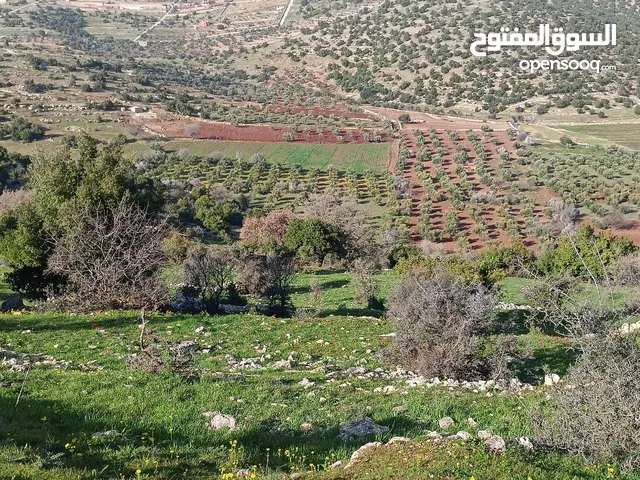 Mixed Use Land for Sale in Ajloun Sakhra