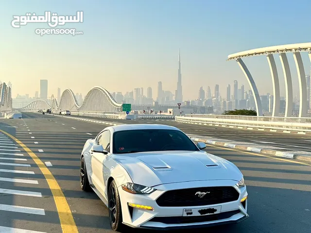 Mustang ecoboost ايكوبوست موستانج بريميوم