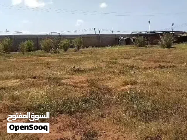 قطعة ارض مساحة 2600 متر مربع