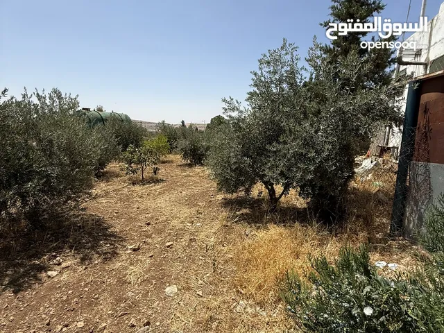 Residential Land for Sale in Mafraq Rhab