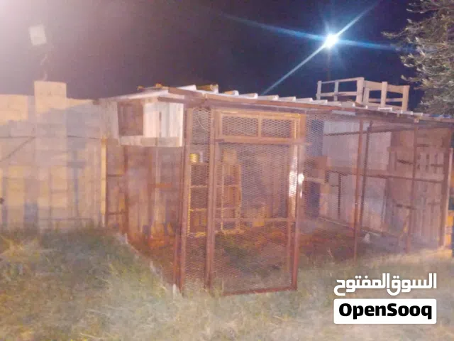 براكة حيوانات