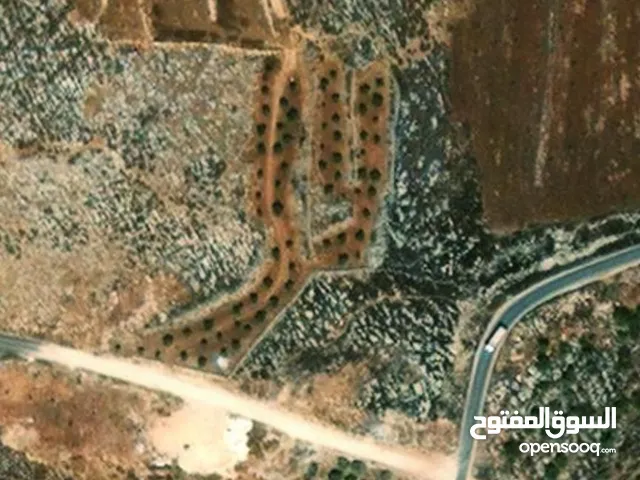 Farm Land for Sale in Ramallah and Al-Bireh Khirbat 'Abu Falah