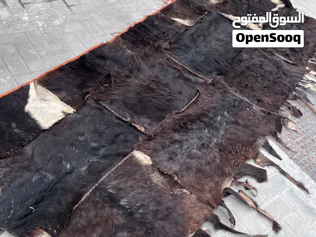 جلد غنم طبيعي 100%100