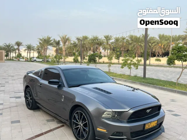 موستنج نظيف جداً